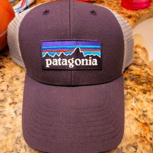Patagonia P6 LoPro trucker hat